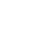  respiratory icon